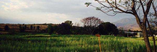 gunjanpaliwal8 Profile Banner