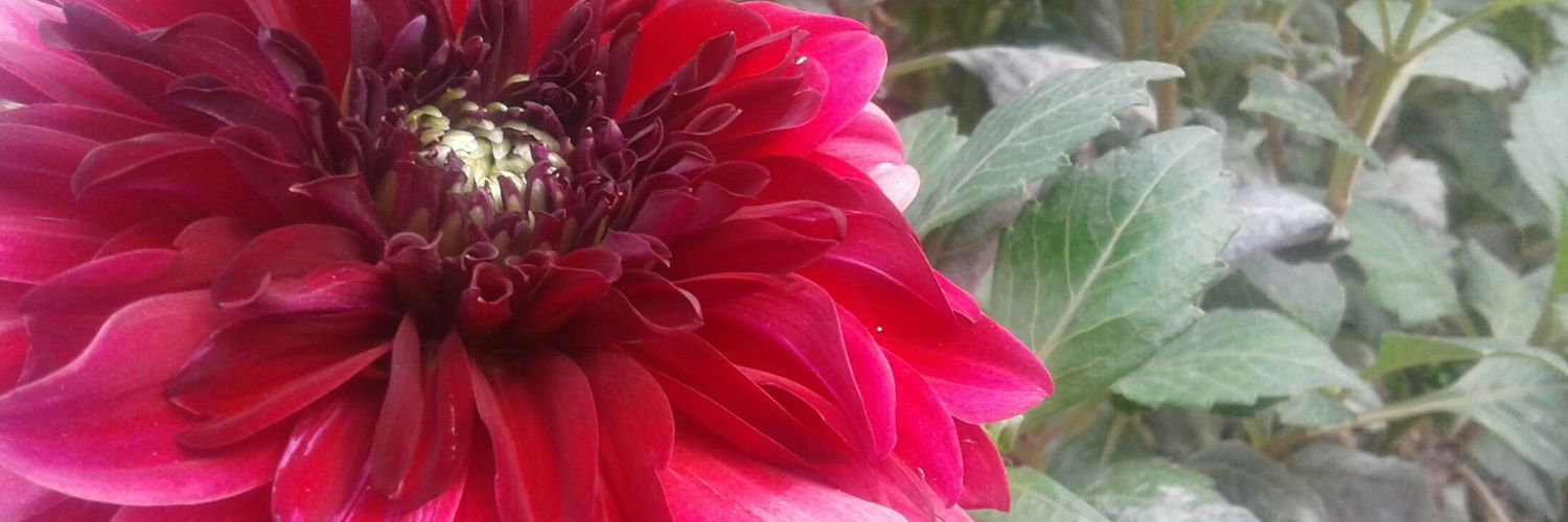 intmorality's profile banner image