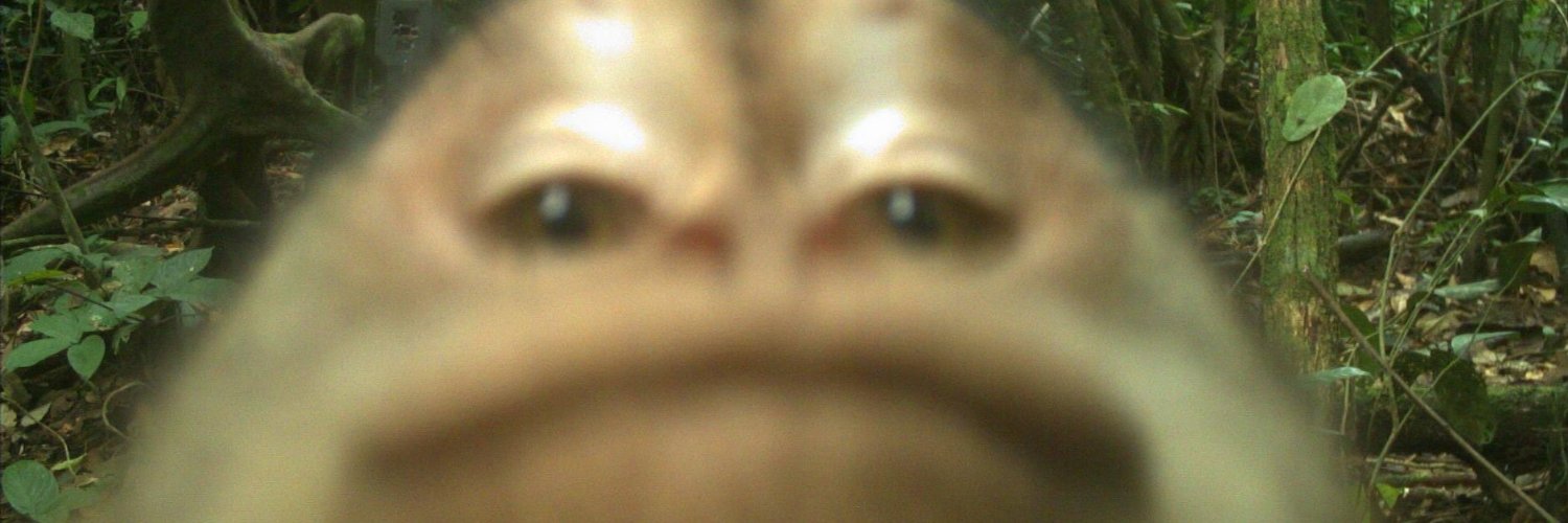 TheOgreLorde's profile banner image