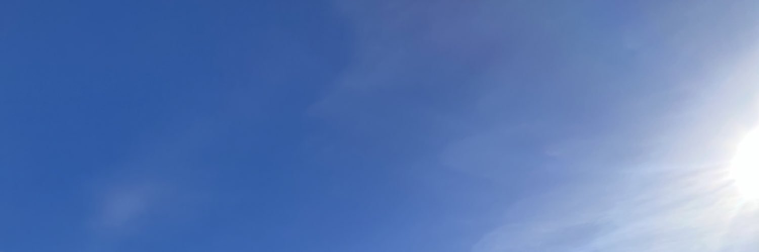 Nancy MacDonald banner
