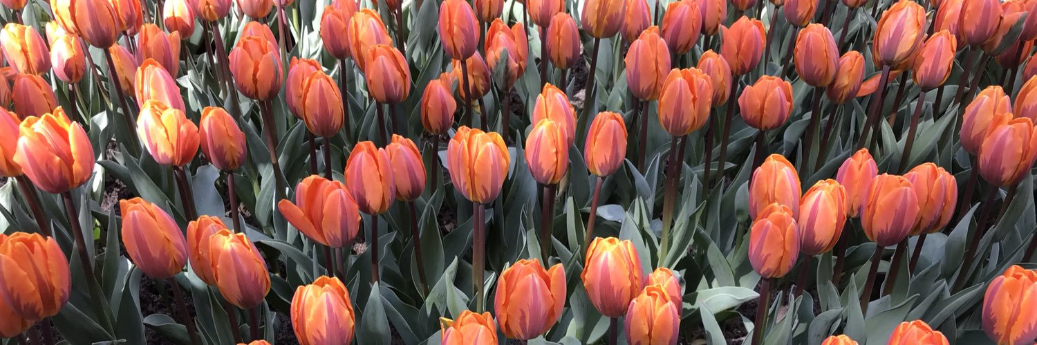 AndreaK1041's profile banner image