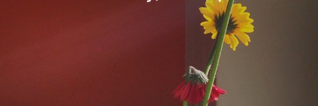 Priscilla Li Ying banner