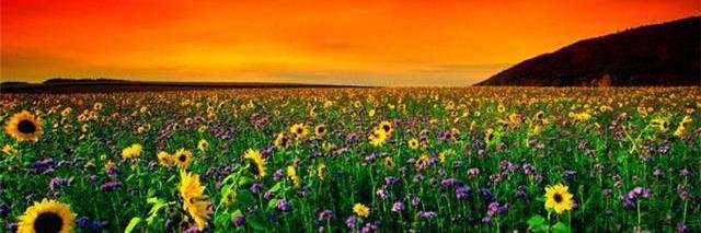 LisaKNutter's profile banner image