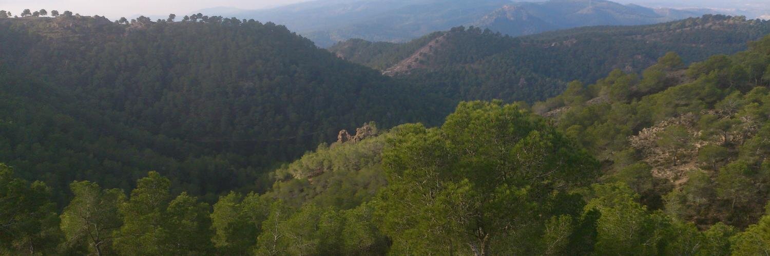 EduardGonca's profile banner image
