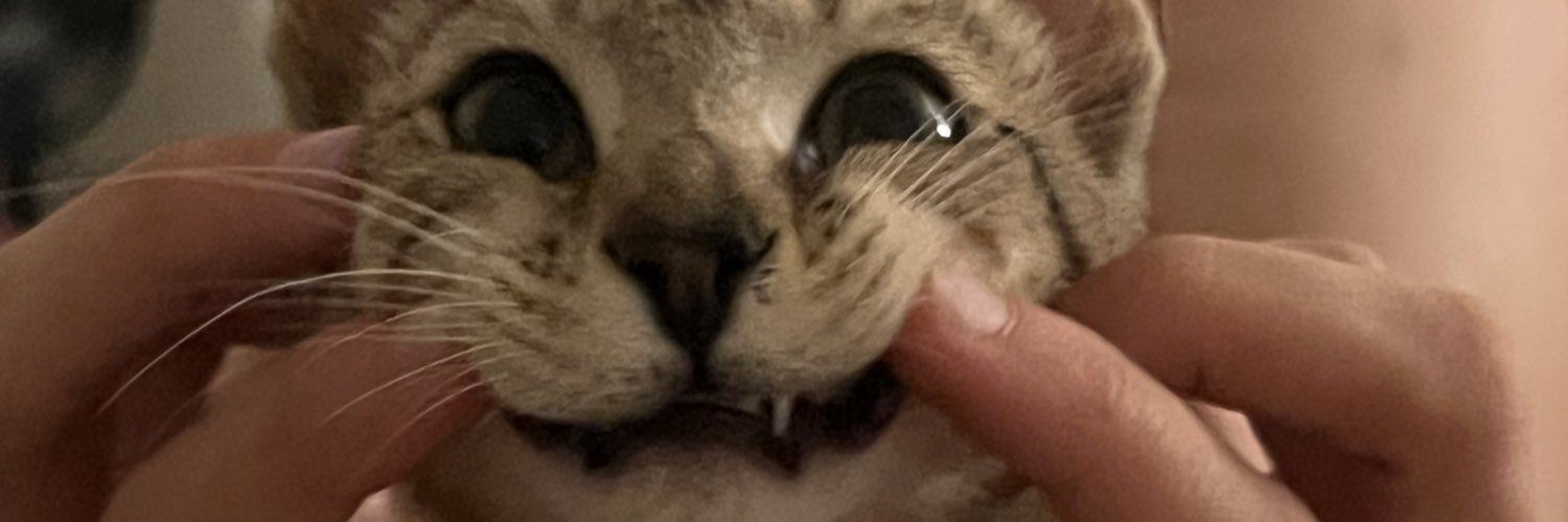 Fitt Comparison banner