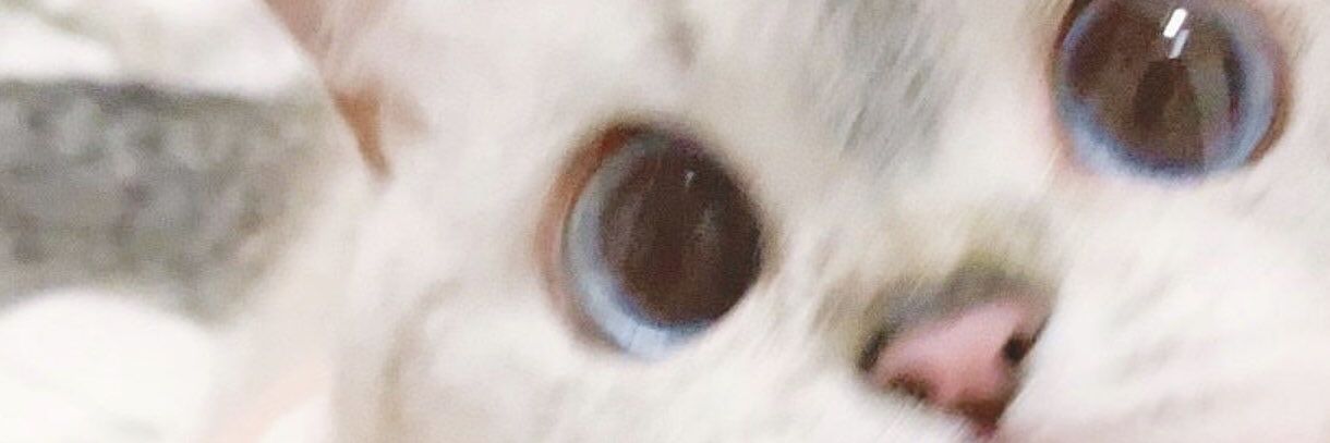 nnotezp's profile banner image
