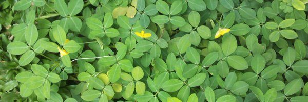 Atie_06 Profile Banner