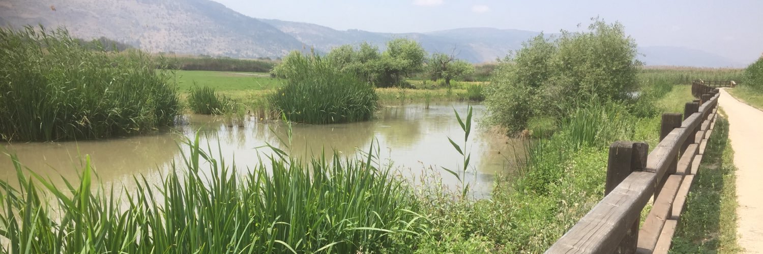 Andrea Ghermandi banner