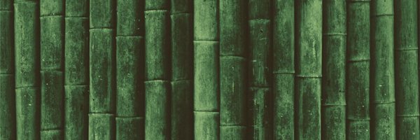 MaryDrive Profile Banner