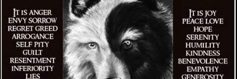 SisLungisa's profile banner image