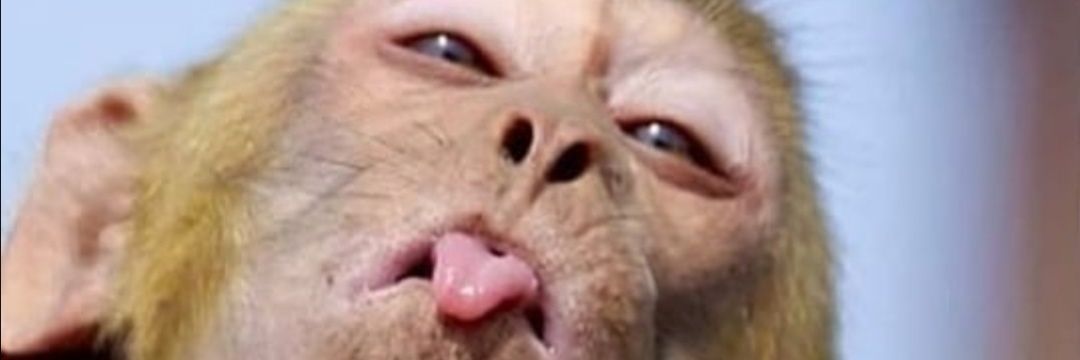 esteesmitwit's profile banner image