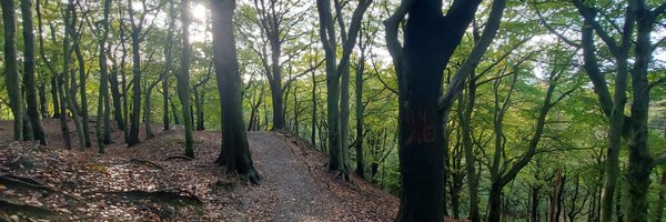 maddyhenney Profile Banner