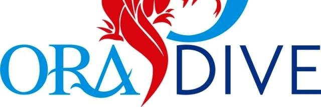 ORA Dive banner