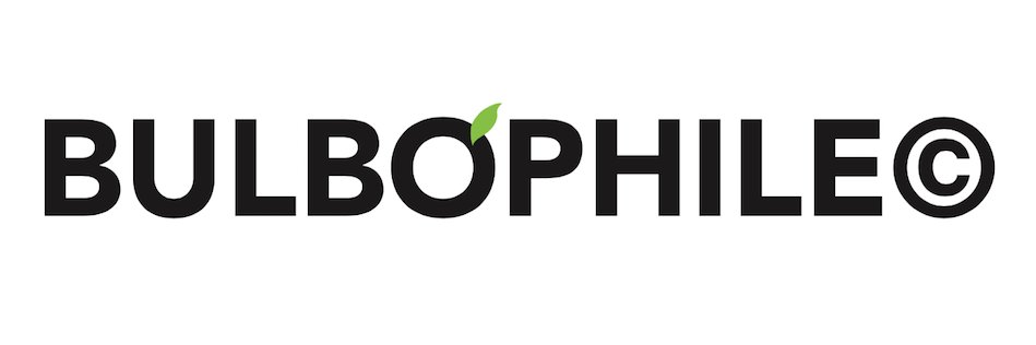 Bulbophile's profile banner image