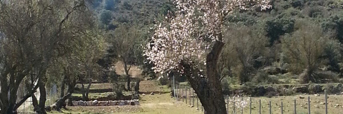 mayca_lc's profile banner image