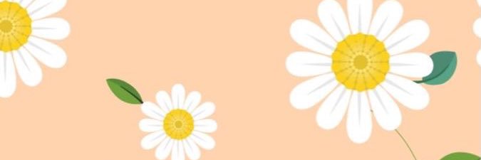 MintPattamanan's profile banner image