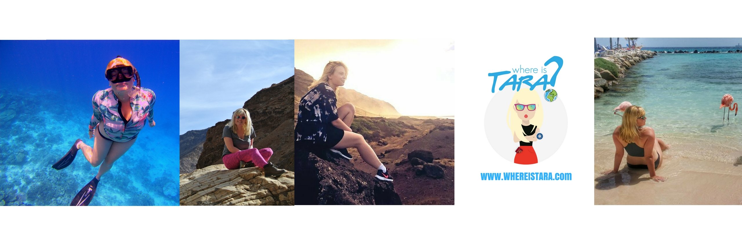 Tara Povey banner