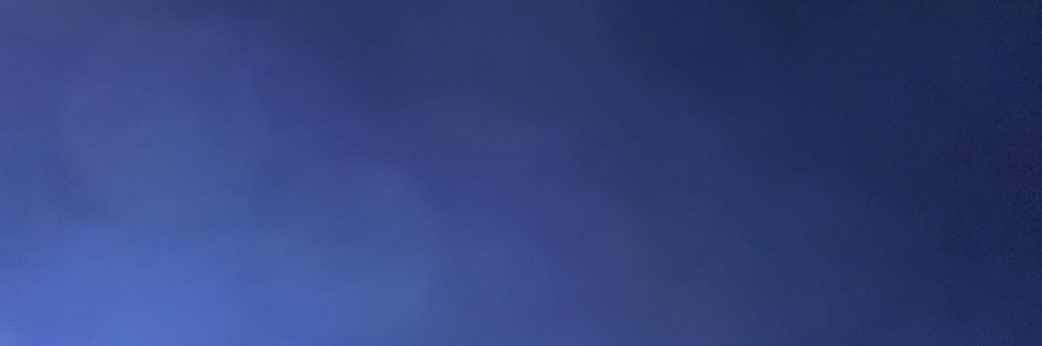 Sheila Rea banner