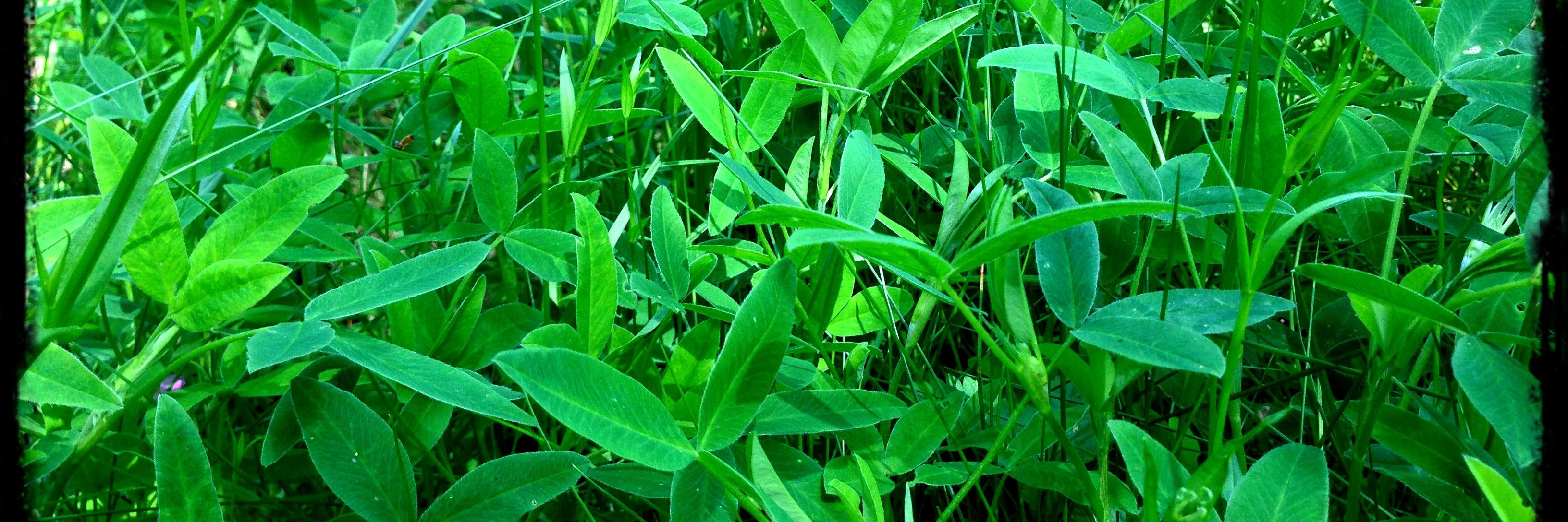VirpiInkeri's profile banner image