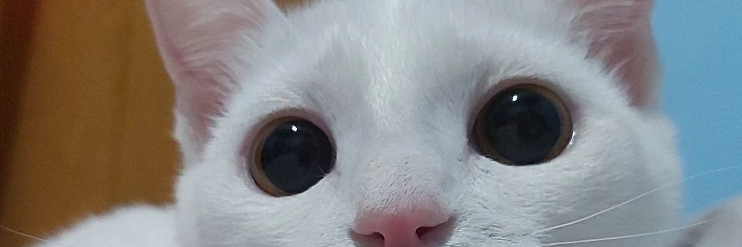 byyyta's profile banner image