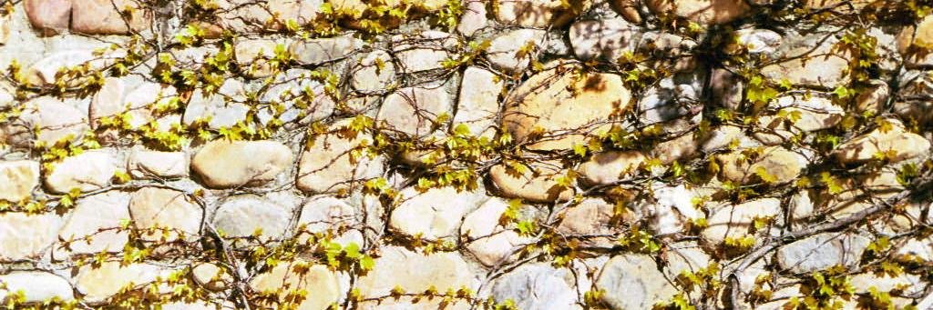 IES Legio VII banner