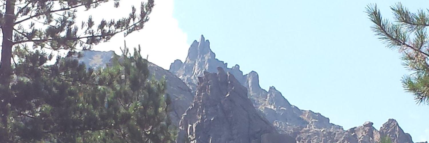 pascale_roque's profile banner image