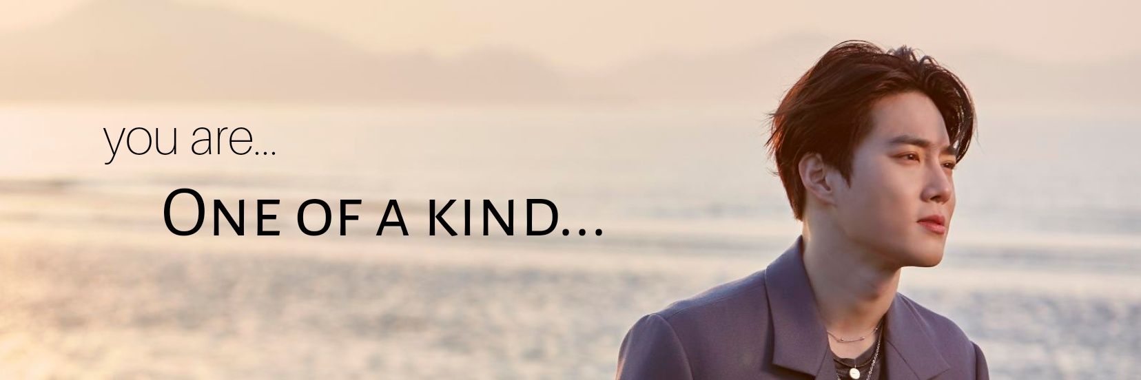 🐻 开CE 🐰14yrswithEXO 🩵🤍 banner