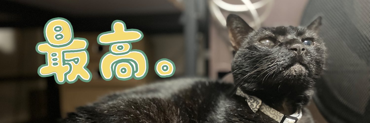 bellcat0611's profile banner image