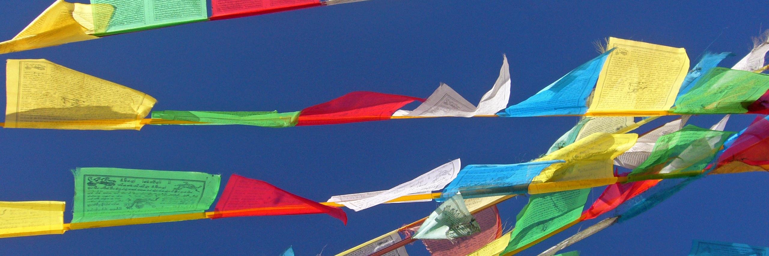 Mark Cass banner