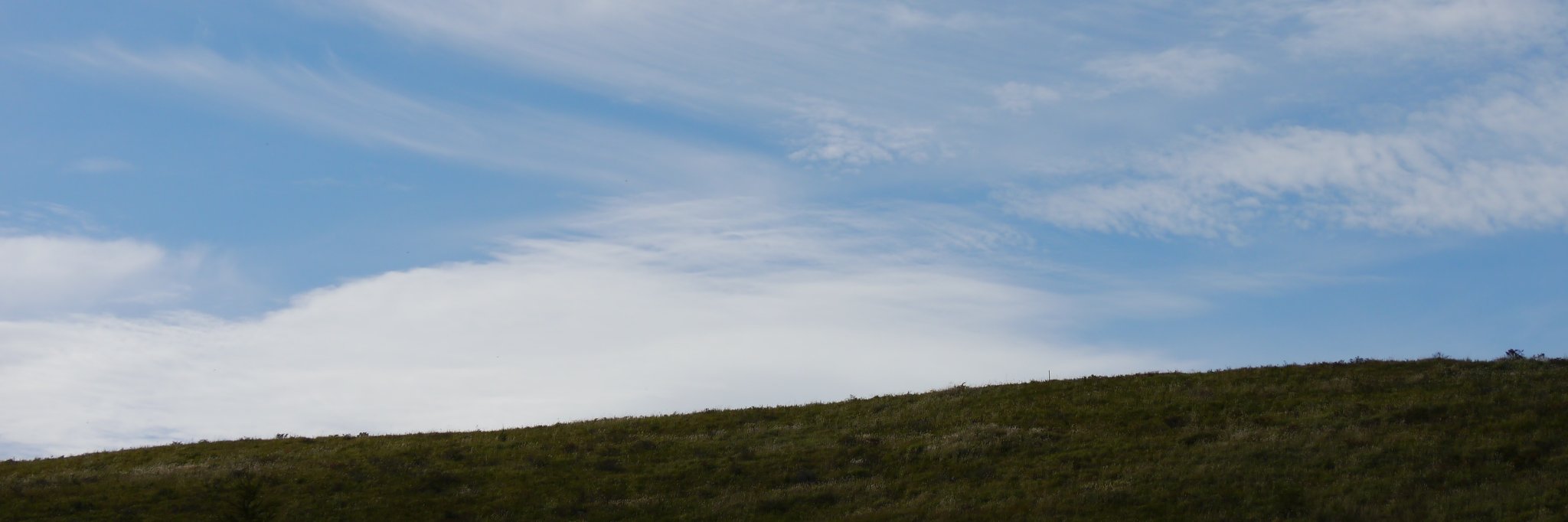 naomika429's profile banner image
