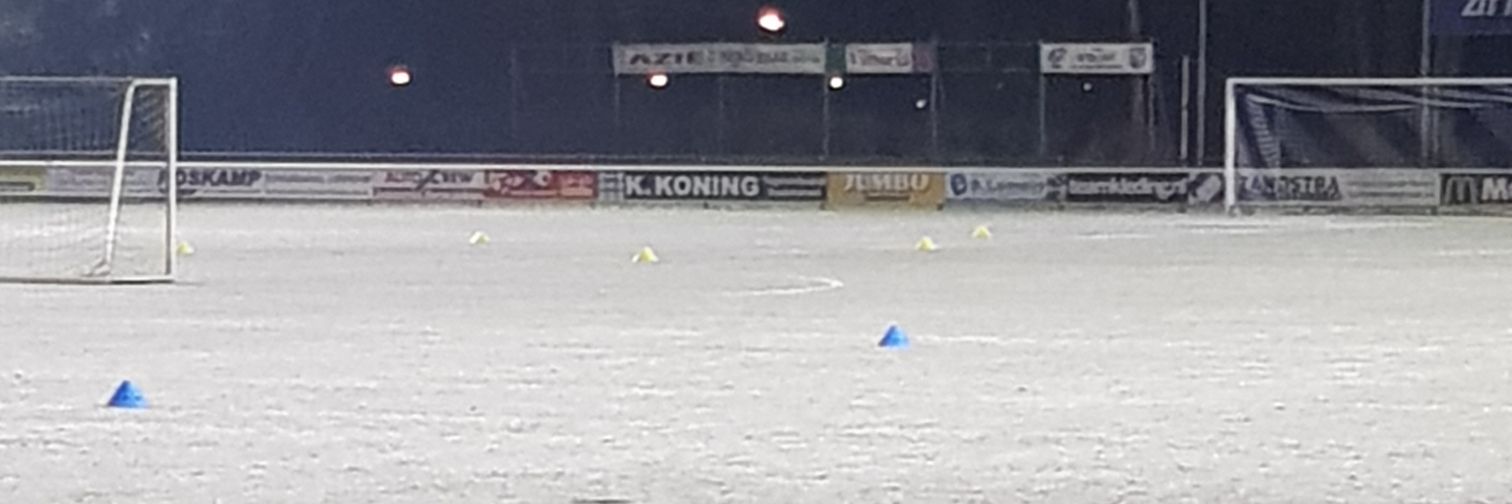Michel Borgeld banner