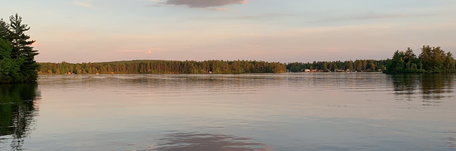 Don 🇺🇸☘️🌴🍊 banner