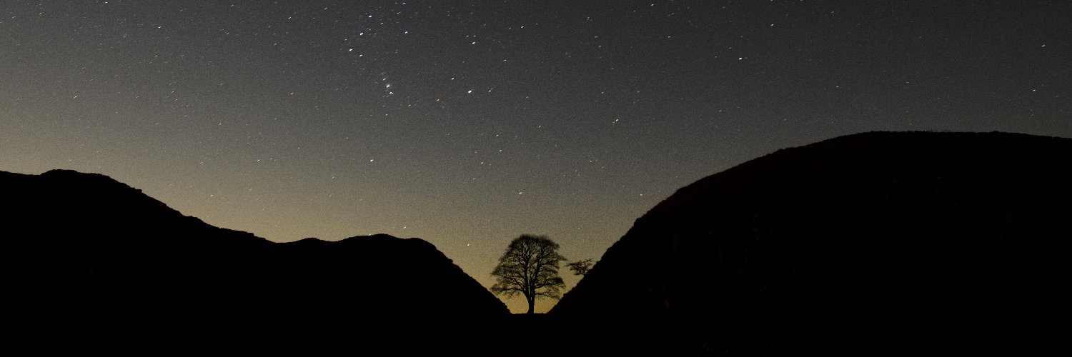 Peter Martell banner