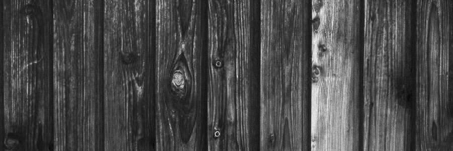 TreeHouseDMV's profile banner image