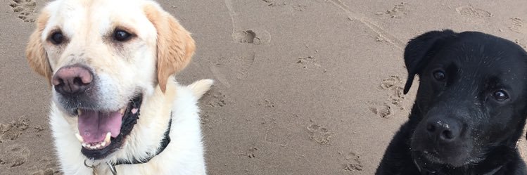 Natalie Ingle banner