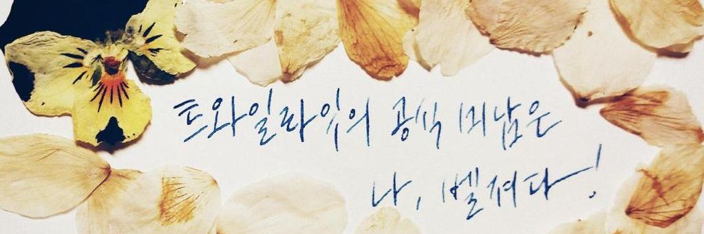 C_hogu_belzer's profile banner image