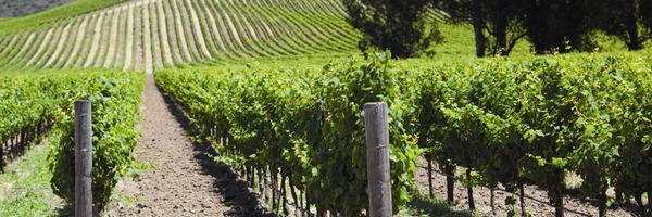 PattyMarken Profile Banner