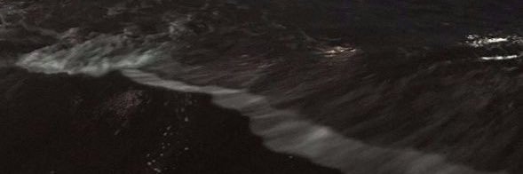 ❥rada banner