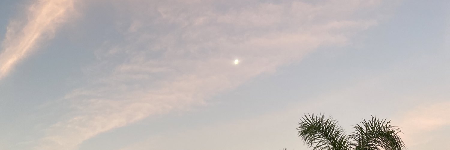 luizaacruz's profile banner image