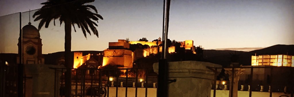 mcastellonPP's profile banner image