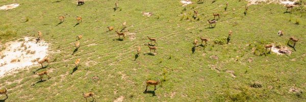 tinkacomm Profile Banner