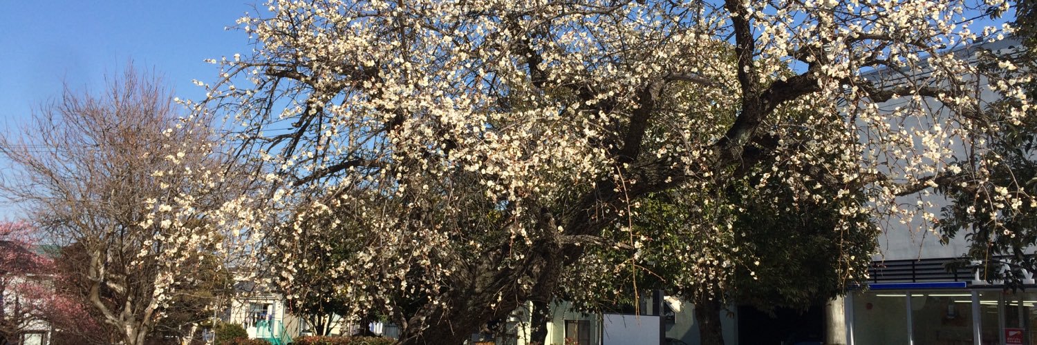 410shinich's profile banner image