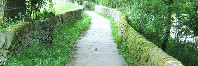 Dr. Melissa Purdue banner