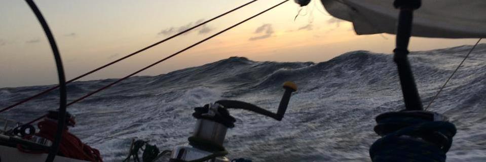 David Buckingham banner