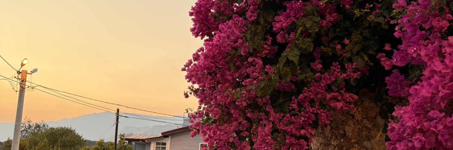 ffbrdkc's profile banner image