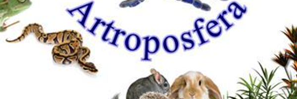Artroposfera Profile Banner
