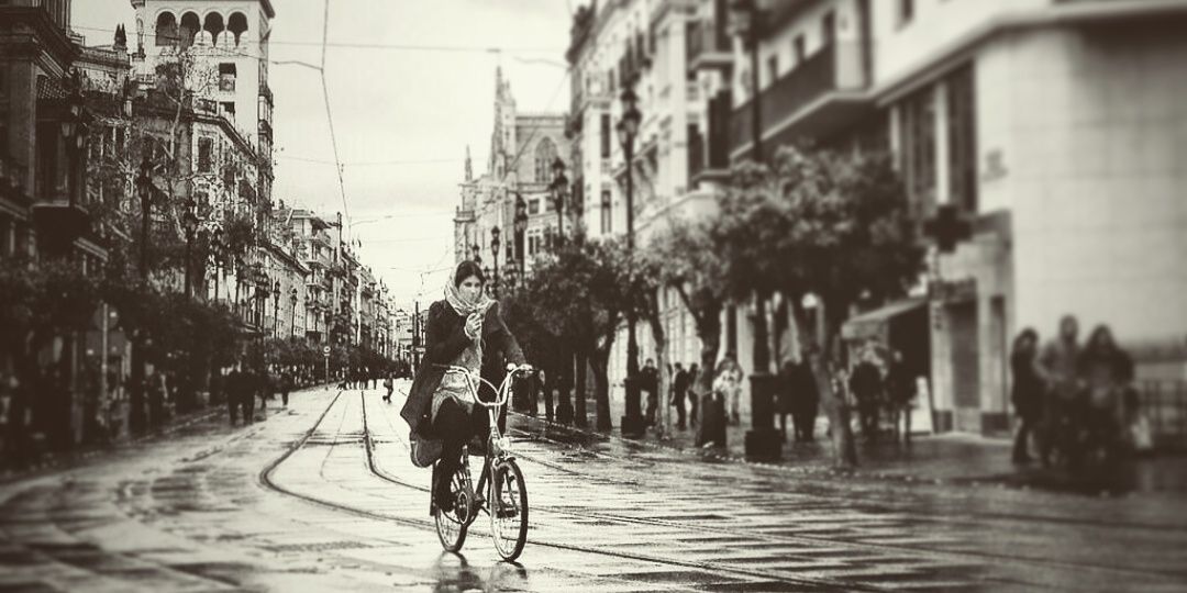 Elena_pecas's profile banner image