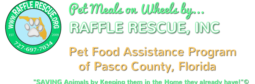 RaffleRescueorg's profile banner image