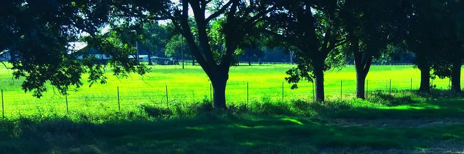 BillWerstler's profile banner image