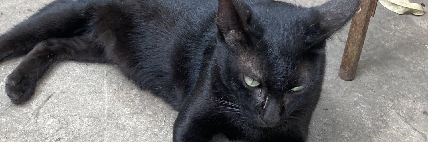 Qhellcat's profile banner image